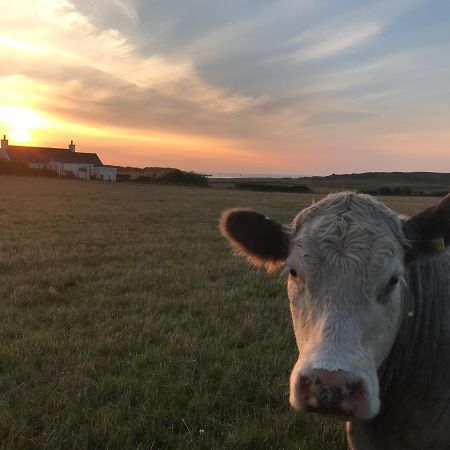 Bayview Cottage, Dunnetbay Accommodation Thurso Esterno foto